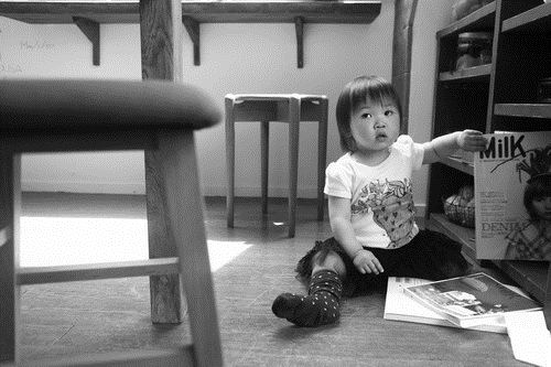 ブログ写真