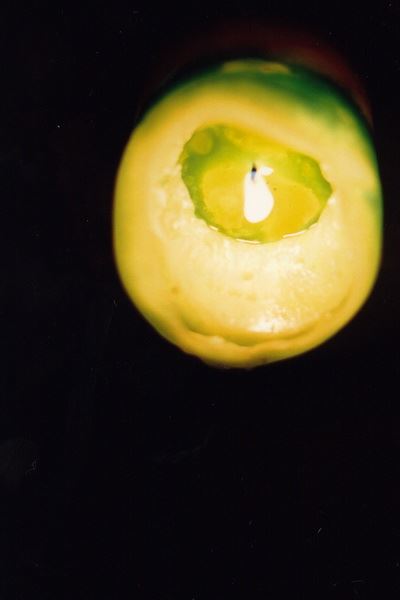 ブログ写真