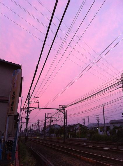 ブログ写真