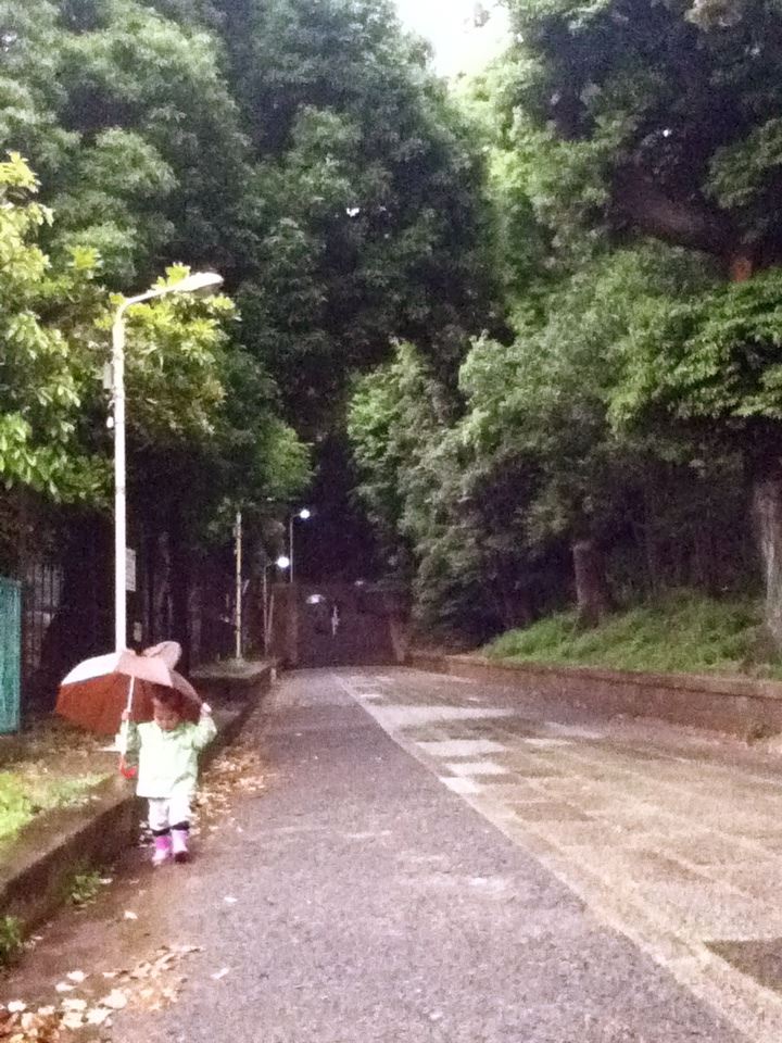 ブログ写真