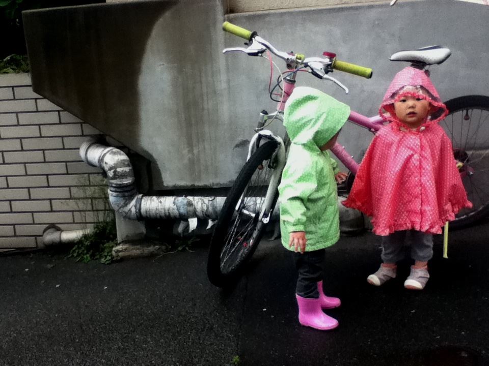 ブログ写真