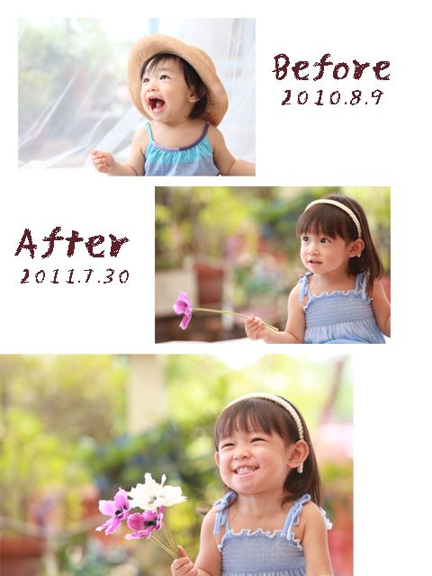 ブログ写真