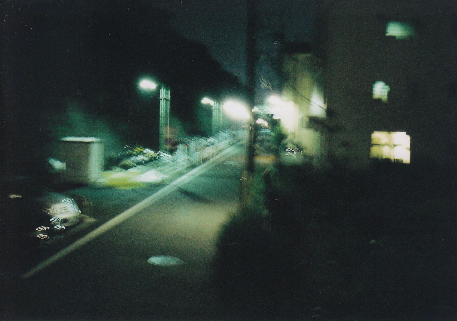 ブログ写真