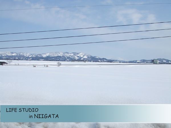 ブログ写真