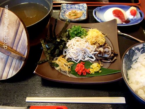 ブログ写真