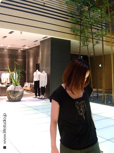 ブログ写真